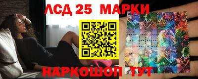 СК Дубна