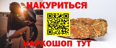 СК Дубна