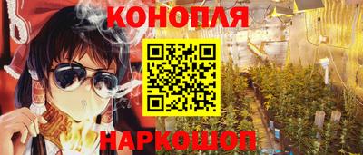 СК Дубна