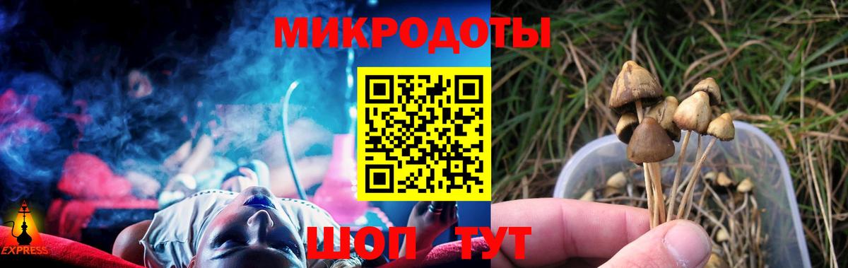 Псилоцибиновые грибы мицелий  Псилоцибиновые грибы MAGIC MUSHROOMS  Минусинск  Вход с VPN 